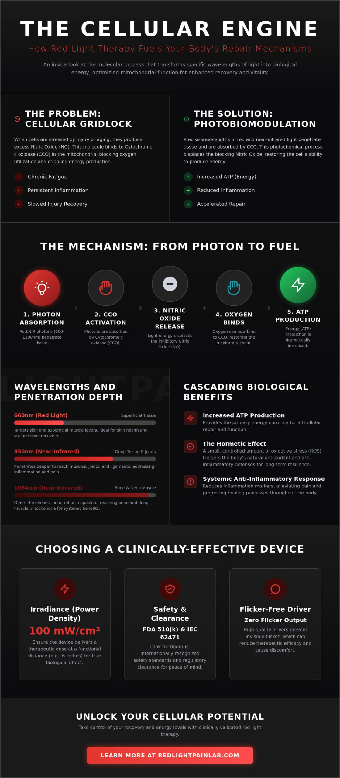 Red Light Therapy and Mitochondria Function: The Science of Cellular Energy