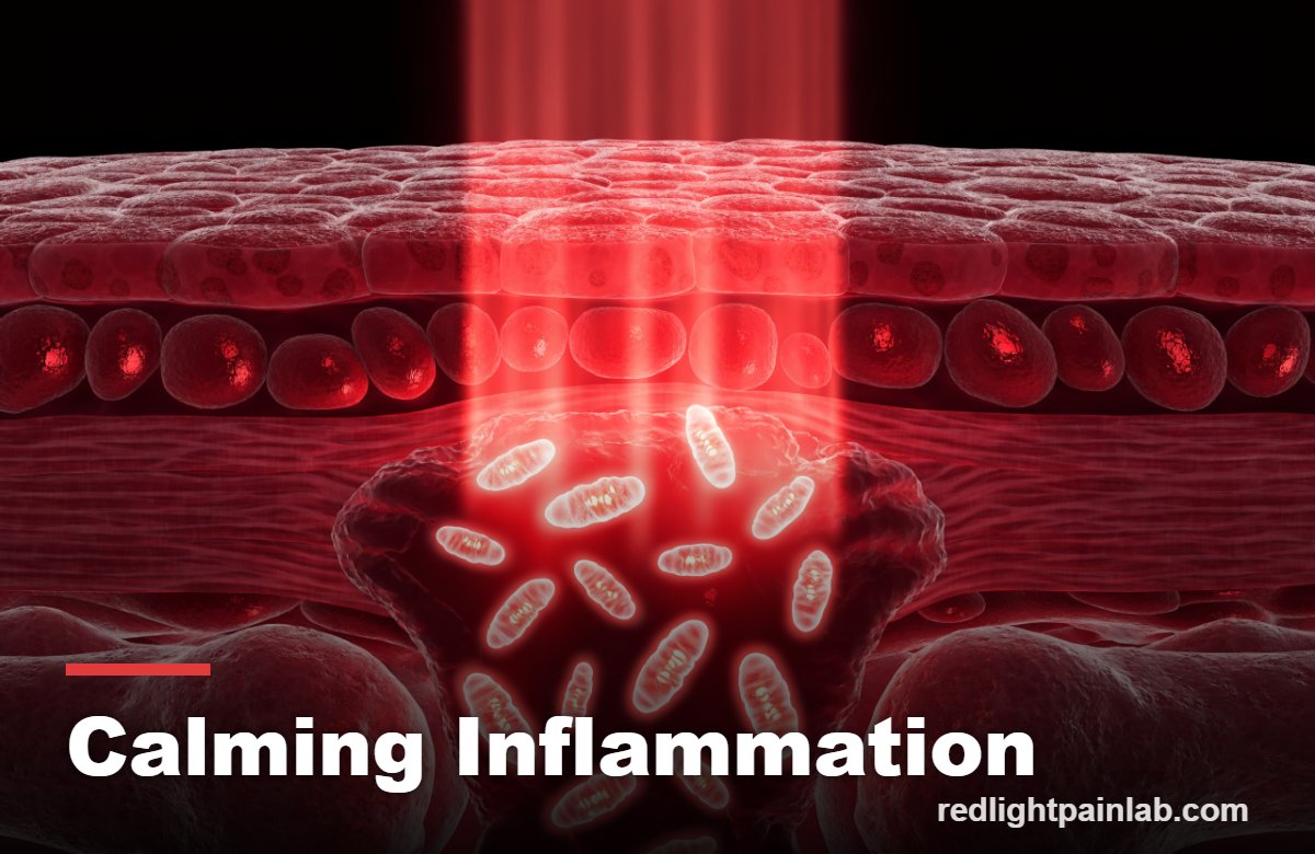 Cross-section illustration of red and near-infrared light reaching an inflamed joint and activating mitochondria inside cells