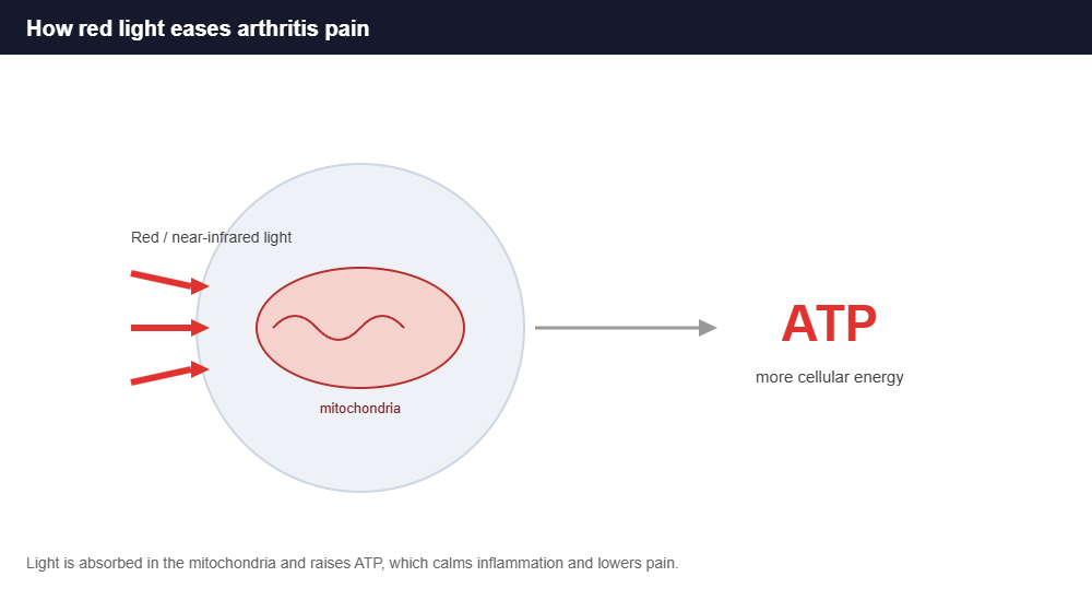 How red light therapy eases arthritis pain How red light therapy eases arthritis pain by boosting cellular energy (ATP)